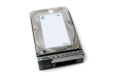 DELL 161-BCFT interne harde schijf 4 TB 7200 RPM 3.5" SAS