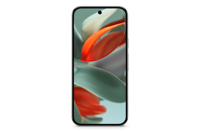 Google Pixel 9 Pro 16 cm (6.3"), 16 GB, 256 GB, 50 MP, Android 14, Hazel